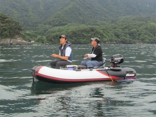 通販サイト バイソンウェーブBWL295V-TS special エレキ魚探バッテリー 