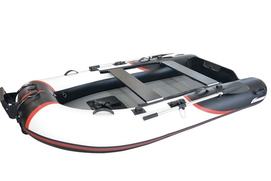 通販サイト バイソンウェーブBWL295V-TS special エレキ魚探バッテリー 